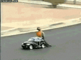 macaw-birds-animated-gameznet-00154.gif