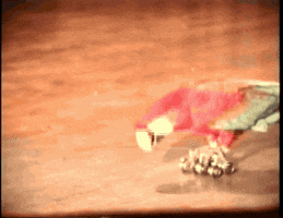 macaw-skate-birds-animated-gameznet-00160.gif