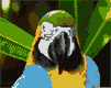mcaw-birds-animated-gameznet-00136.gif