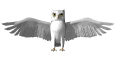 owl-bird-animated-gameznet-03.gif
