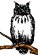 owl-bird-animated-gameznet-05.gif