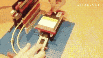 parrot-bird-animated-gameznet-011.gif