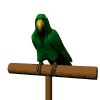 parrot-bird-animated-gameznet-02.gif