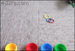parrot-bird-animated-gameznet-06.gif