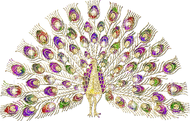 peacock-bird-animated-gameznet-02.gif