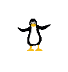 penguin-bird-animated-gameznet-01.gif