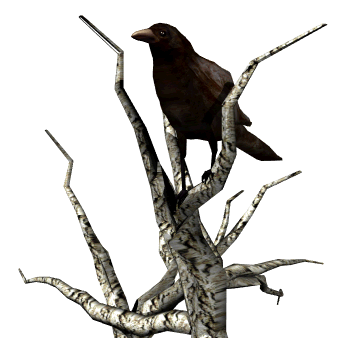 raven-crow--birds-animated-gameznet-01.gif