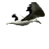 seagul-bird-animated-gameznet-02.gif