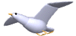 seagul-bird-animated-gameznet-03.gif