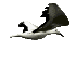 seagul-bird-animated-gameznet-04.gif