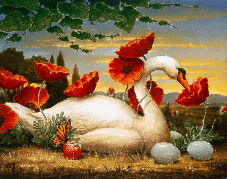 swan-bird-animated-gameznet-01.gif