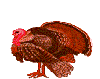 turkey-bird-animated-gameznet-012.gif