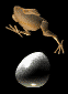 turkey-bird-animated-gameznet-014.gif
