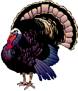 turkey-bird-animated-gameznet-03.gif
