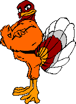 turkey-bird-animated-gameznet-08.gif