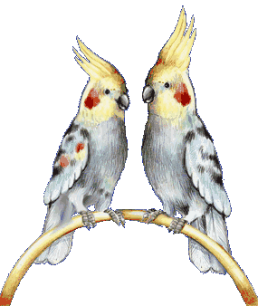 weiro-birds-animated-gameznet-01.gif
