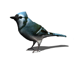 woodpecker-bird-animated-gameznet-02.gif