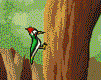 woodpecker-bird-animated-gameznet-04.gif