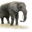 elephant-free-animated-gifs-gameznet-01.gif
