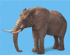 elephant-free-animated-gifs-gameznet-010.gif