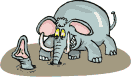 elephant-free-animated-gifs-gameznet-013.gif
