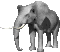 elephant-free-animated-gifs-gameznet-017.gif