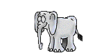 elephant-free-animated-gifs-gameznet-019.gif