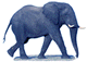 elephant-free-animated-gifs-gameznet-020.gif