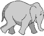 elephant-free-animated-gifs-gameznet-025.gif