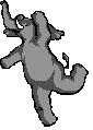 elephant-free-animated-gifs-gameznet-029.gif