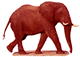 elephant-free-animated-gifs-gameznet-037.gif