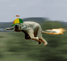 elephant-free-animated-gifs-gameznet-038.gif