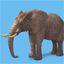 elephant-free-animated-gifs-gameznet-04.gif
