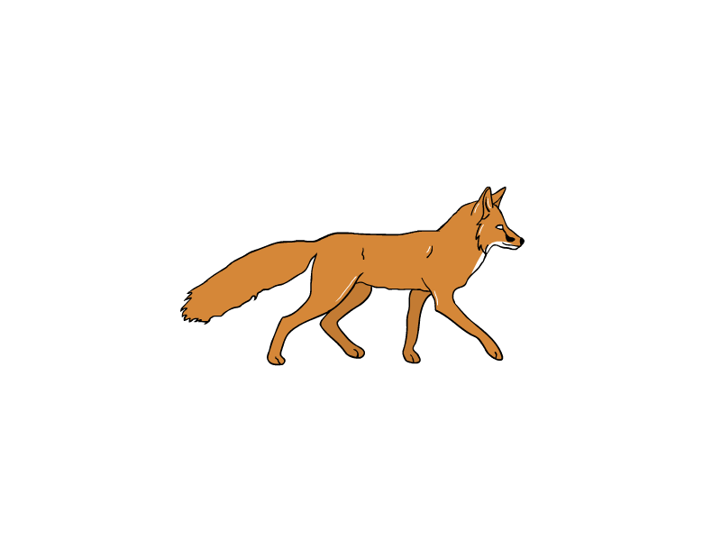 fox-free-animated-gifs-gameznet-025.gif