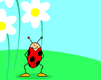 insects-free-animated-gifs-gameznet-0103.gif