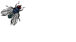 insects-free-animated-gifs-gameznet-0107.gif
