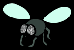 insects-free-animated-gifs-gameznet-0108.gif
