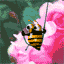 insects-free-animated-gifs-gameznet-011.gif