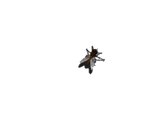 insects-free-animated-gifs-gameznet-0110.gif