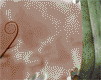 insects-free-animated-gifs-gameznet-0111.gif