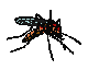 insects-free-animated-gifs-gameznet-0115.gif