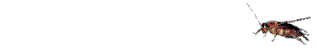insects-free-animated-gifs-gameznet-0122.gif