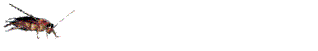 insects-free-animated-gifs-gameznet-0123.gif
