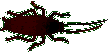 insects-free-animated-gifs-gameznet-0125.gif