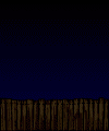 insects-free-animated-gifs-gameznet-0126.gif