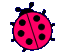 insects-free-animated-gifs-gameznet-0128.gif