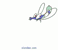 insects-free-animated-gifs-gameznet-0131.gif