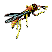 insects-free-animated-gifs-gameznet-0132.gif