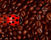 insects-free-animated-gifs-gameznet-027.gif