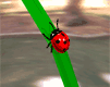 insects-free-animated-gifs-gameznet-028.gif